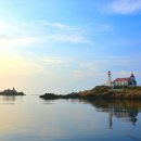 시랑대비빔밥 | 부산 해동 용궁사와 시랑대비빔밥 맛집 다녀온 후기