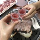 라임 | 경주 쁘띠토마토펜션 _ 라임여섯 / 바베큐 / 보문펜션 후기🏡