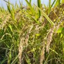 단구 경로당 이미지