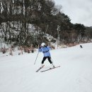 무주덕유산리조트스키장 이미지