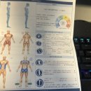 바른자세척추운동 | 김포 체형교정 바른 자세 바른척추운동센터 교정 후기