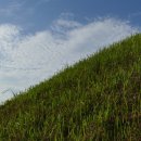 함안 말이산고분군 이미지