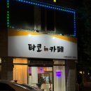 타코in카페 네이버블로그
