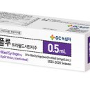 지씨 디지털타임스