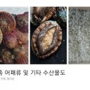 통영어패류 이미지