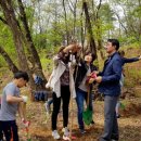 가족나무 이미지