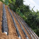 신흥농약사 이미지