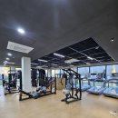 매트릭스 헬스 | 국산, 외산 헬스기구 동시납품(디랙스, 매트릭스 C50 스텝밀)