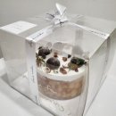 세라케이크 sera cake