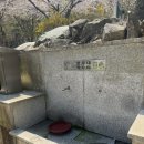 황령산 벚꽃약수터 이미지