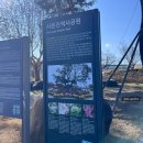 오월드 동물병원 | [대구 가볼만한 곳] 사문진 나루터, 달성군 화원읍 가볼만한 곳, 산책 코스 추천