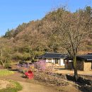 리틀포레스트 촬영지 이미지