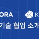 보라(Bora) 티스토리