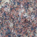 가나씨앤비 이미지