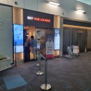 스카이 P.P 이미지