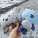 누리전기조명 | 포천여행 한탄강 가든페스타 y자 출렁다리