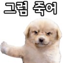 밈