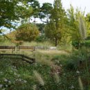 푸른수목원 이미지