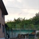 경포대공인중개사사무소 이미지