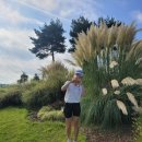 욜로골프 인 골프마데 이미지