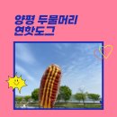 양평 두물머리에 연핫도그 먹으러 갔어요!(주말, 주차)