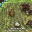 구조라항 공원 이미지