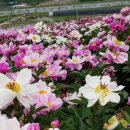 완주 둔산 도서관 이미지