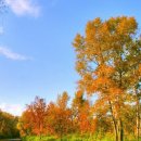 강변에서 이미지