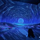 제주아이스뮤지엄종합전시관 | 속초 뮤지엄엑스 아이와 함께 다녀온 후기, 비오는 날 실내 가볼만한곳