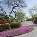 국가정원(서문) 이미지