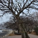 선정은하수꼬막마을 | ​[고흥 선정마을] 달빛 쉬어가는 은하수 꼬막 마을, 그곳에서 사람을 배웁니다.