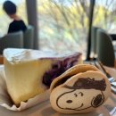 네오피자수성점 | 2025/ 3/ 28 - 31/ 먹고 사는 일상 ( 벚꽃놀이 시작, 푸나왈라 - 인도커리, 스벅 빌런 이야기, 봄동...