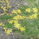 안온 민박 이미지