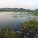 대물낚시 이미지