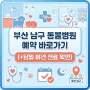 용호동물병원 | 부산 남구 동물병원 예약 바로가기 (+당일 야간)