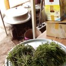 꿈의농장 이미지