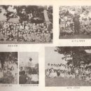 대사초등학교 Daum카페