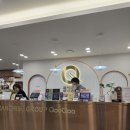 1378 | 부천 신중동 초밥뷔페 맛집 / 쿠우쿠우 골드 부천점 • 내돈내산 솔직후기 • 웨이팅 후기