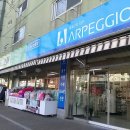 이불 왕 도매 이미지