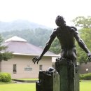 향기숲힐링교육센터 경기도뉴스