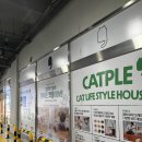 캣플 | 😺 캣플 코지눅 시화점 후기 – 60마리 고양이들과 함께하는 힐링 카페