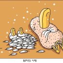 밀밭사랑 이미지