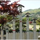 김촌저수지 이미지