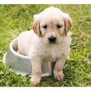 보성동물병원 이미지