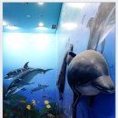 장생포고래박물관 이미지