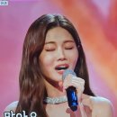 미스동백 이미지