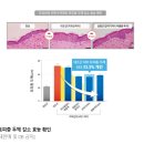 성률농장 이미지