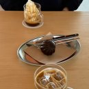 레몬비광주신안점 | 목포근교 대형카페 압해도 신상카페 아페드셀