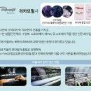 제니보정속옷