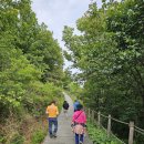 허궁다리 이미지